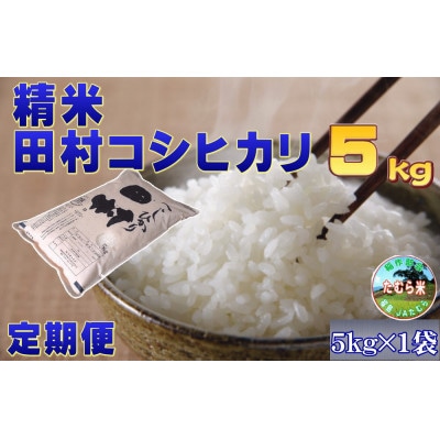 【毎月定期便】田村産 コシヒカリ 5kg 米 精米全6回