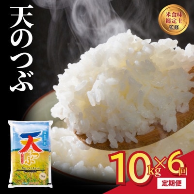 【毎月定期便】田村産 天のつぶ 10kg 米 精米全6回