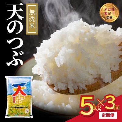 【毎月定期便】無洗米 田村産 天のつぶ 5kg 米 精米全3回