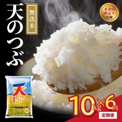 【毎月定期便】無洗米 田村産 天のつぶ 10kg 米 精米全6回