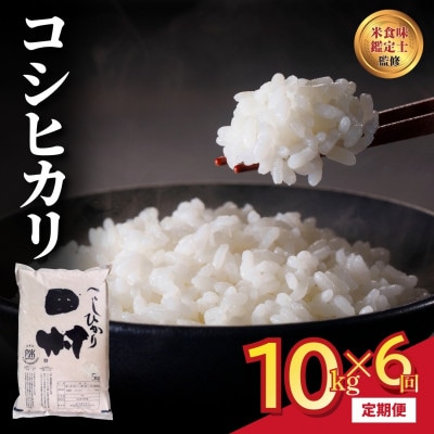 【毎月定期便】田村産 コシヒカリ 10kg 精米全6回