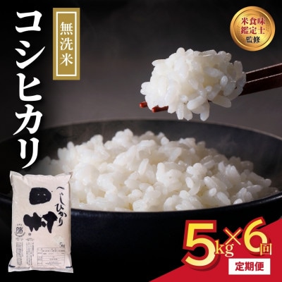 【毎月定期便】無洗米 田村産 コシヒカリ 5kg 精米全6回
