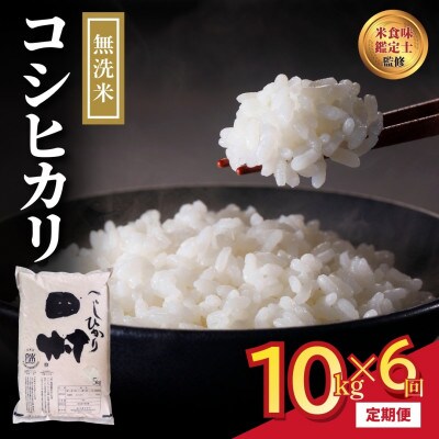 【毎月定期便】無洗米 田村産 コシヒカリ 10kg 精米全6回