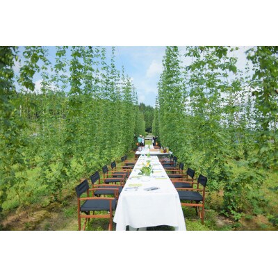 【樽生!クラフトビール】ホップジャパンIPA【3L】