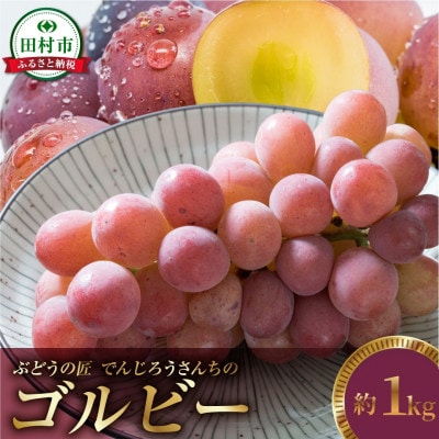 【2026年発送】ゴルビー 約1kg