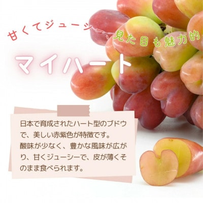 【2026年発送】マイハート 約1kg