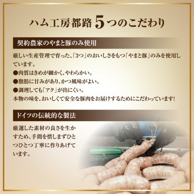 ソーセージ・ベーコン 詰め合わせセット 計12種 ハム工房都路