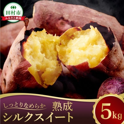 さつまいも 熟成 シルクスイート 5kg【12月下旬より順次発送】