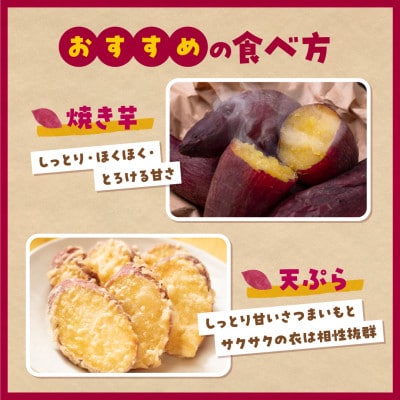 さつまいも 熟成 シルクスイート 5kg【12月下旬より順次発送】