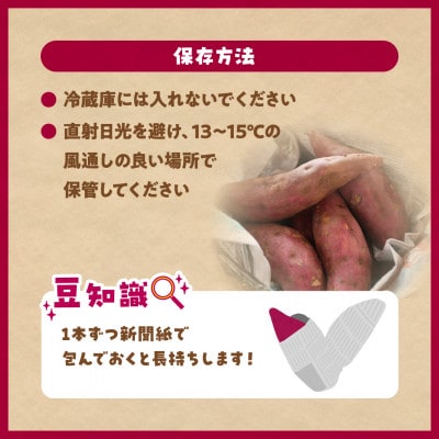 さつまいも 熟成 シルクスイート 5kg【12月下旬より順次発送】