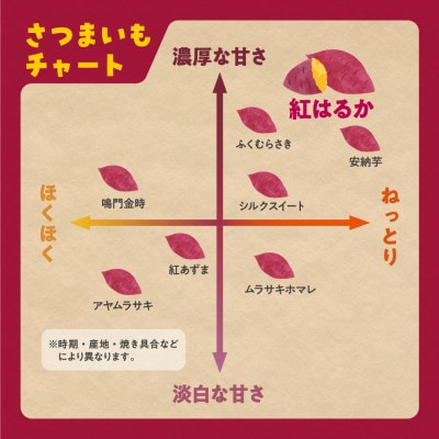 熟成 ほしいも 2袋 (180g×2袋) 紅はるか使用 さつまいも