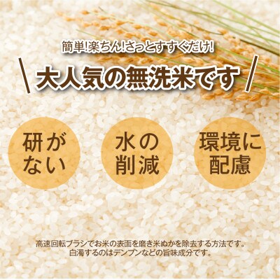 【 令和5年度産 】 無洗米 田村市産 ひとめぼれ 精米 5kg