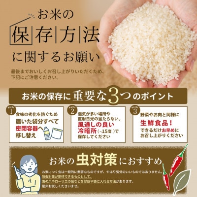 新米 先行予約開始!【令和7年産】田村産 ひとめぼれ 精米 10kg