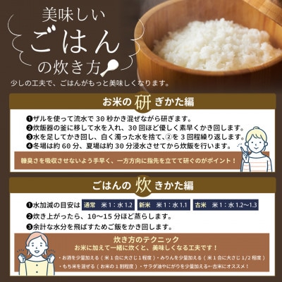 新米 先行予約開始!【令和7年産】田村産 ひとめぼれ 精米 10kg