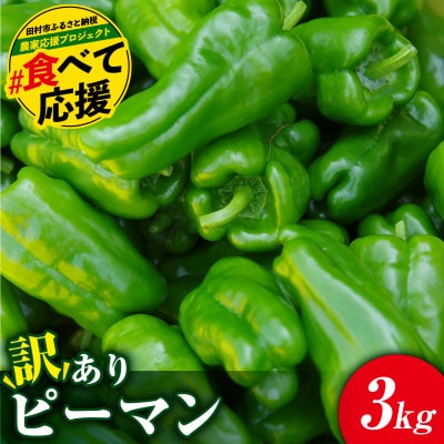 【2026年7月より順次発送予定】訳あり 規格外 ピーマン 3kg