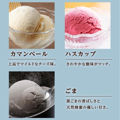 トワ・ヴェールアイスクリーム全15個【5種×各3個】
