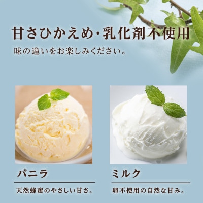 トワ・ヴェールアイスクリーム10個セット(全5種×各2個)【工場直送】