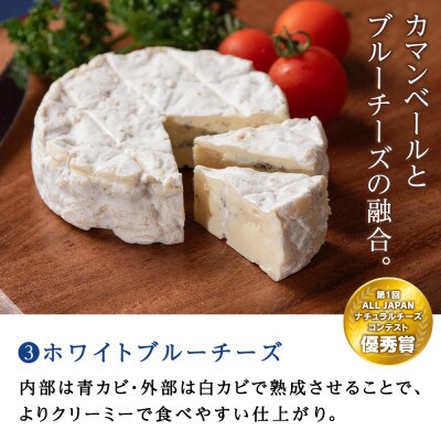 人気チーズ4種×3品セット【全12品】