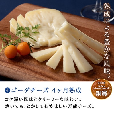 人気チーズ4種×3品セット【全12品】