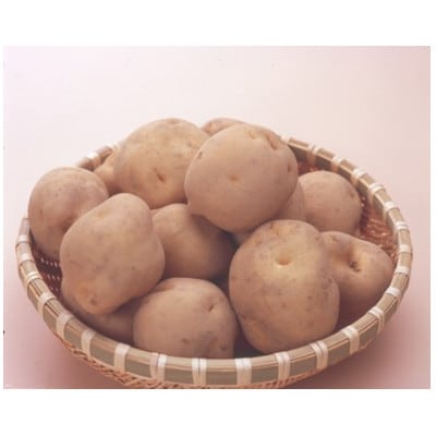 じゃがいも　馬鈴薯(男爵)Lサイズ　5kg