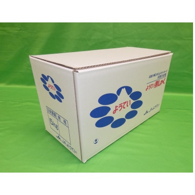 じゃがいも　馬鈴薯(男爵)Lサイズ　5kg