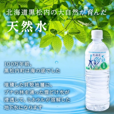黒松内銘水 水彩の森 500ml×48本(24本×2箱)【複数個口で配送】