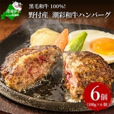 野付産【潮彩和牛】ハンバーグ 100g&times;6個