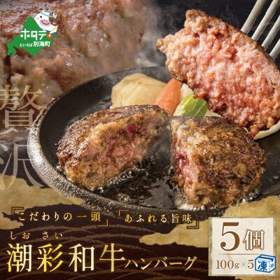 北海道野付産【潮彩和牛】ハンバーグ　100g×5個