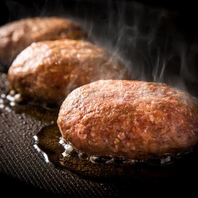 北海道野付産【潮彩和牛】ハンバーグ　100g×5個