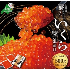 北海道産　イクラ醤油漬け　500g　小分け2パック(北海道　根室海峡　野付産　鮭卵　いくら醤油漬)