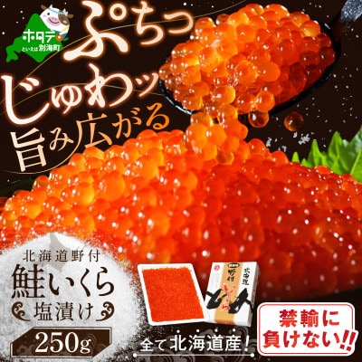 北海道産 鮭 いくら塩漬け 250g 海鮮丼に合う いくら醤油漬けが好きな方に食べて欲しい味