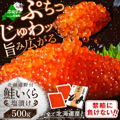 北海道産 鮭 いくら塩漬け 500g  小分け(250g×2)贅沢 塩いくら丼 3杯分 海鮮丼に合う