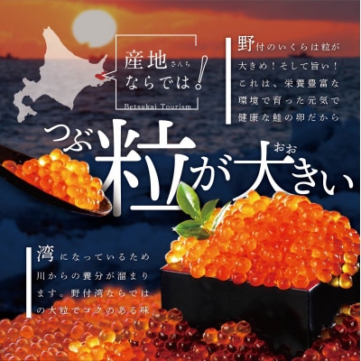 北海道産 鮭 いくら塩漬け 500g  小分け(250g×2)贅沢 塩いくら丼 3杯分 海鮮丼に合う