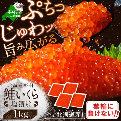 北海道産 鮭 いくら塩漬け 1kg  小分け(250g×4)贅沢 塩いくら丼 3杯分 海鮮丼に合う