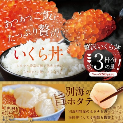 北海道産 鮭 いくら塩漬け 1kg  小分け(250g×4)贅沢 塩いくら丼 3杯分 海鮮丼に合う