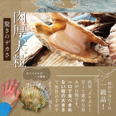 ほたて貝柱500g ジャンボ 北海道野付産 生食 刺身 用 冷凍帆立貝柱『ホタテといえば別海町』
