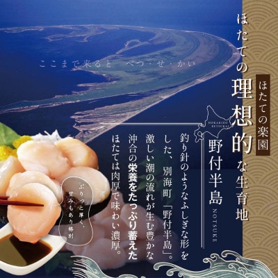 ほたて貝柱 500g 大玉 北海道 野付産 生食 刺身 用 冷凍帆立貝柱『ホタテといえば別海町』