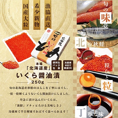 2023年6月発送開始『定期便』北海道産 鮭卵 いくら醤油漬け250g 全9回
