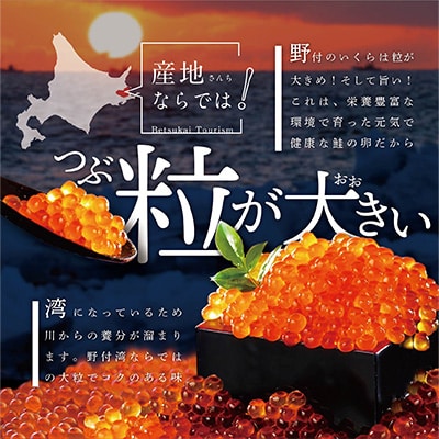 2023年4月発送開始『定期便』北海道産 鮭卵 いくら醤油漬け500g 全2回