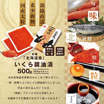2023年5月発送開始『定期便』北海道産 鮭卵 いくら醤油漬け500g 隔月全3回