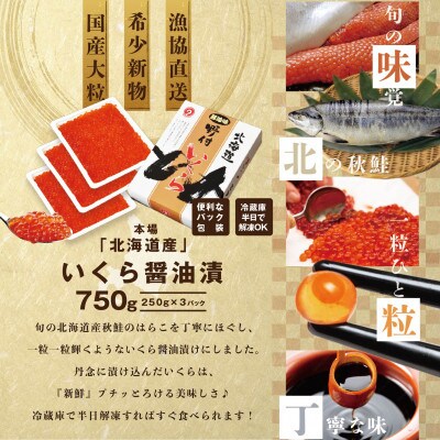 2023年4月発送開始『定期便』北海道産 鮭卵 いくら醤油漬け750g 全12回