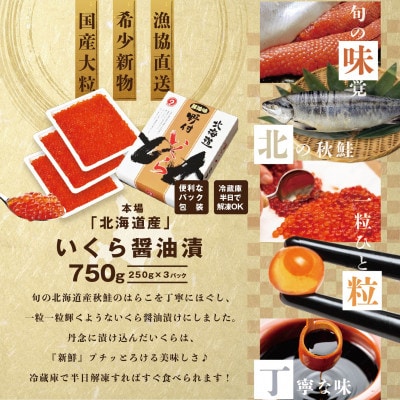 2023年7月発送開始『定期便』北海道産 鮭卵 いくら醤油漬け750g 隔月全4回