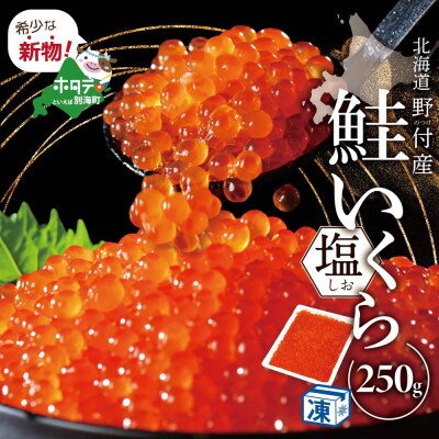 2022年8月発送開始『定期便』北海道産 鮭卵 塩いくら250g 隔月全3回