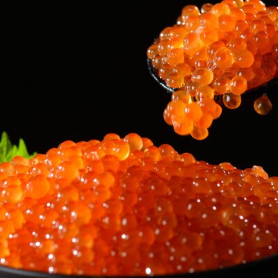 2022年11月発送開始『定期便』北海道産 鮭卵 塩いくら500g 隔月全3回