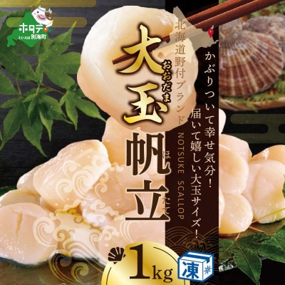 2023年4月発送開始『定期便』北海道産ほたて貝柱1kg(31～35玉)Sサイズ 隔月全4回