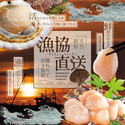 2022年9月発送開始『定期便』北海道産ほたて貝柱1kg(26～30玉)Mサイズ 全7回