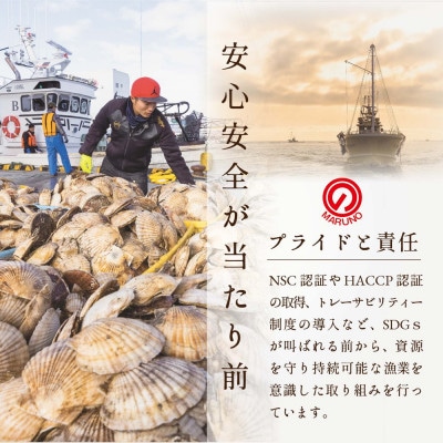 2022年9月発送開始『定期便』北海道産ほたて貝柱1kg(26～30玉)Mサイズ 全7回