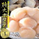 【希少なジャンボホタテ!】 特大LL-Lサイズ 冷凍ほたて貝柱1kg 北海道野付産