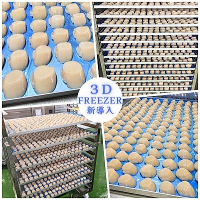 【3Dフリーザー冷凍!】刺身用 ほたて貝柱 800g (約25-35玉入) 北海道野付産 冷凍 玉冷