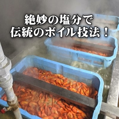 【訳あり】【たっぷり約100尾!】北海しまえび1kg 北海道野付産【数量限定】 シマエビ
